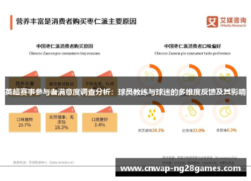 英超赛事参与者满意度调查分析:球员教练与球迷的多维度反馈及其影响 英超赛事参与者满意度调查分析:球员教练与球迷的多维度反馈及其影响