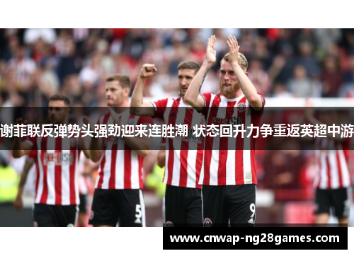 谢菲联反弹势头强劲迎来连胜潮 状态回升力争重返英超中游 谢菲联反弹势头强劲迎来连胜潮 状态回升力争重返英超中游