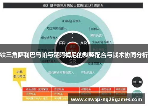 铁三角萨利巴乌帕与楚阿梅尼的默契配合与战术协同分析