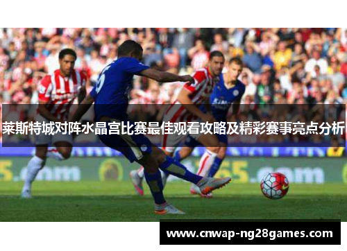 莱斯特城对阵水晶宫比赛最佳观看攻略及精彩赛事亮点分析 莱斯特城对阵水晶宫比赛最佳观看攻略及精彩赛事亮点分析