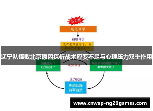 辽宁队惜败北京原因探析战术应变不足与心理压力双重作用