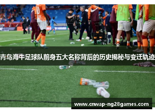 青岛海牛足球队前身五大名称背后的历史揭秘与变迁轨迹 青岛海牛足球队前身五大名称背后的历史揭秘与变迁轨迹