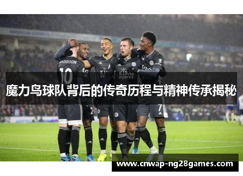 魔力鸟球队背后的传奇历程与精神传承揭秘